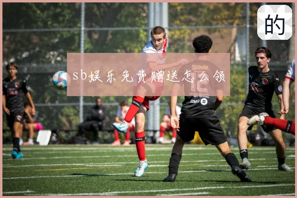 sb娱乐免费赠送怎么领